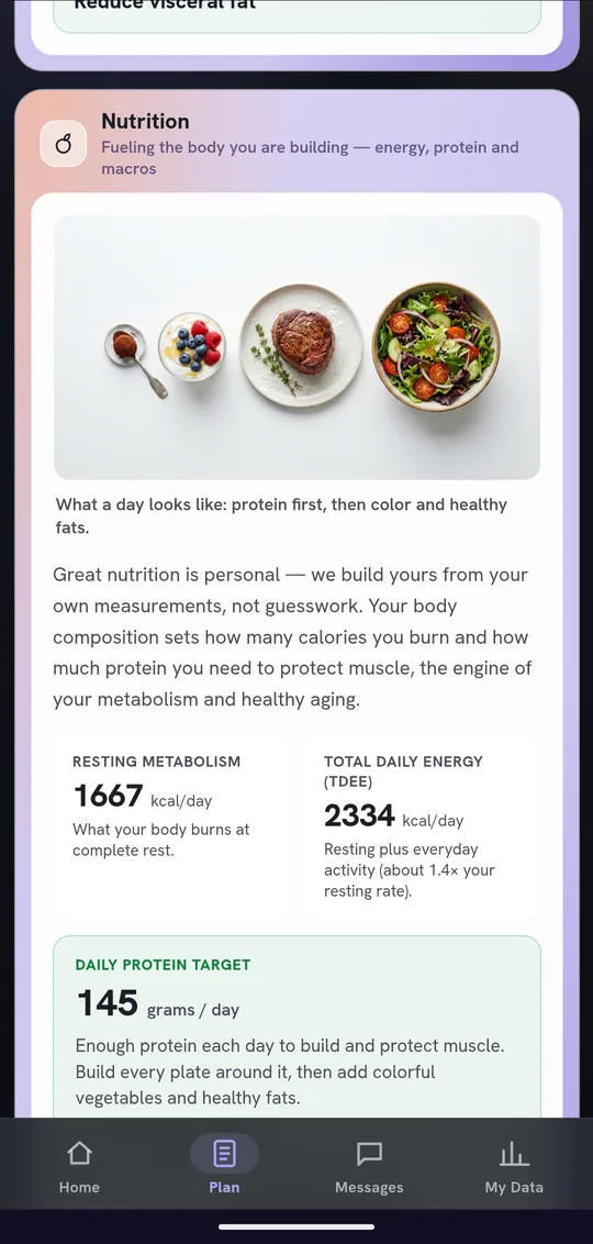 Nutrition targets built from the patient's own measurements, with a daily protein target